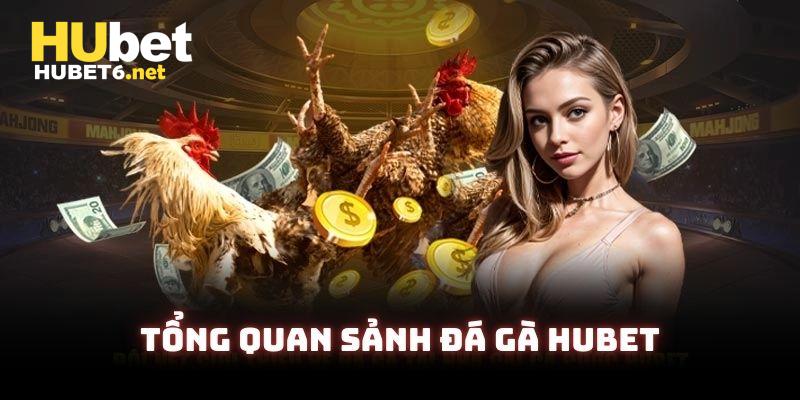 Tổng quan về sảnh cược đá gà Hubet nổi tiếng