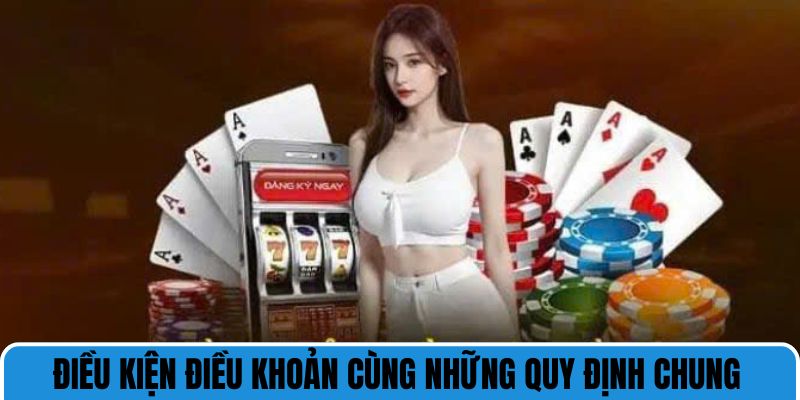 Điều kiện điều khoản cùng những quy định chung